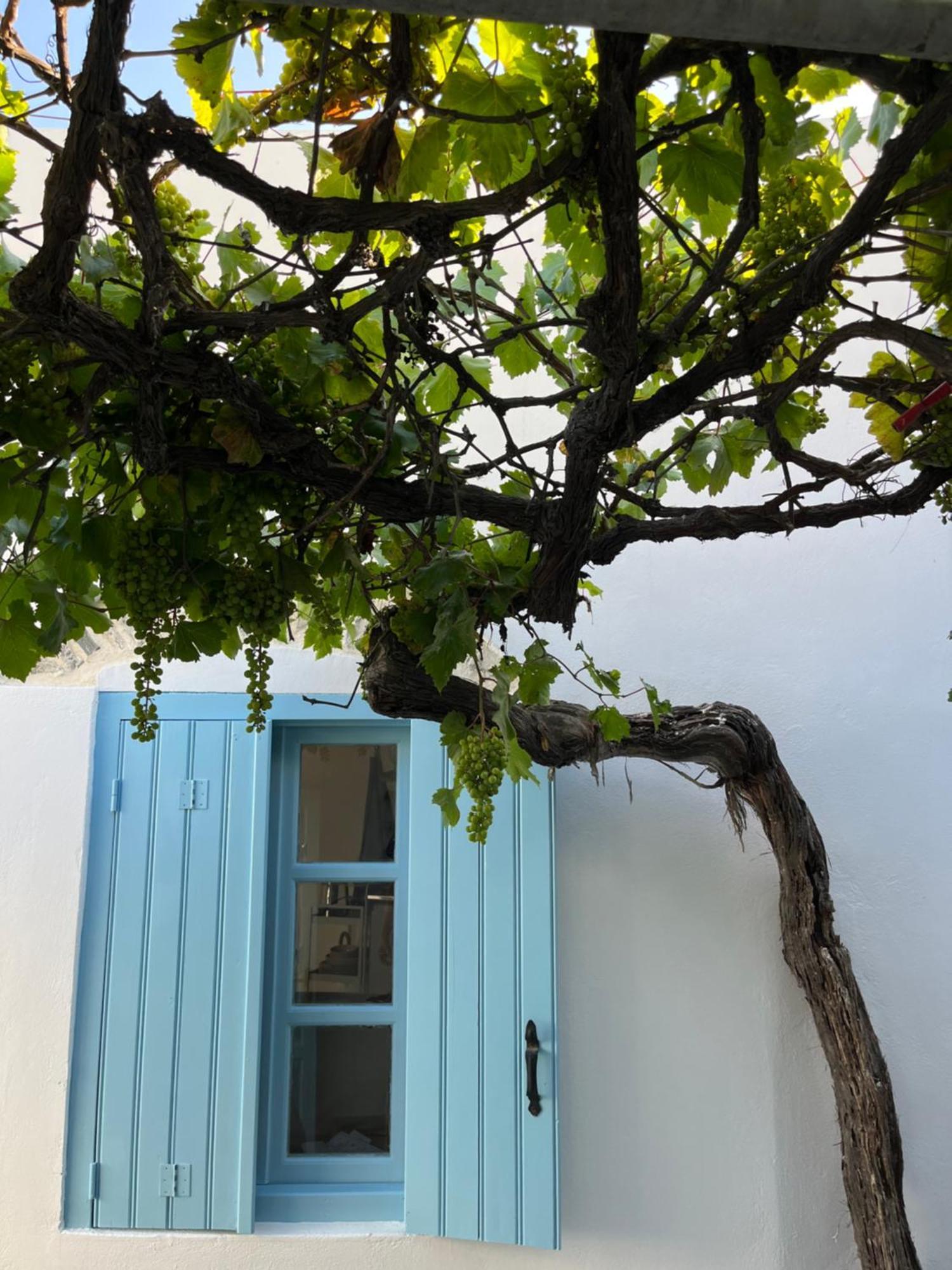 Dream House Little Villa - อามอร์โกส ภายนอก รูปภาพ